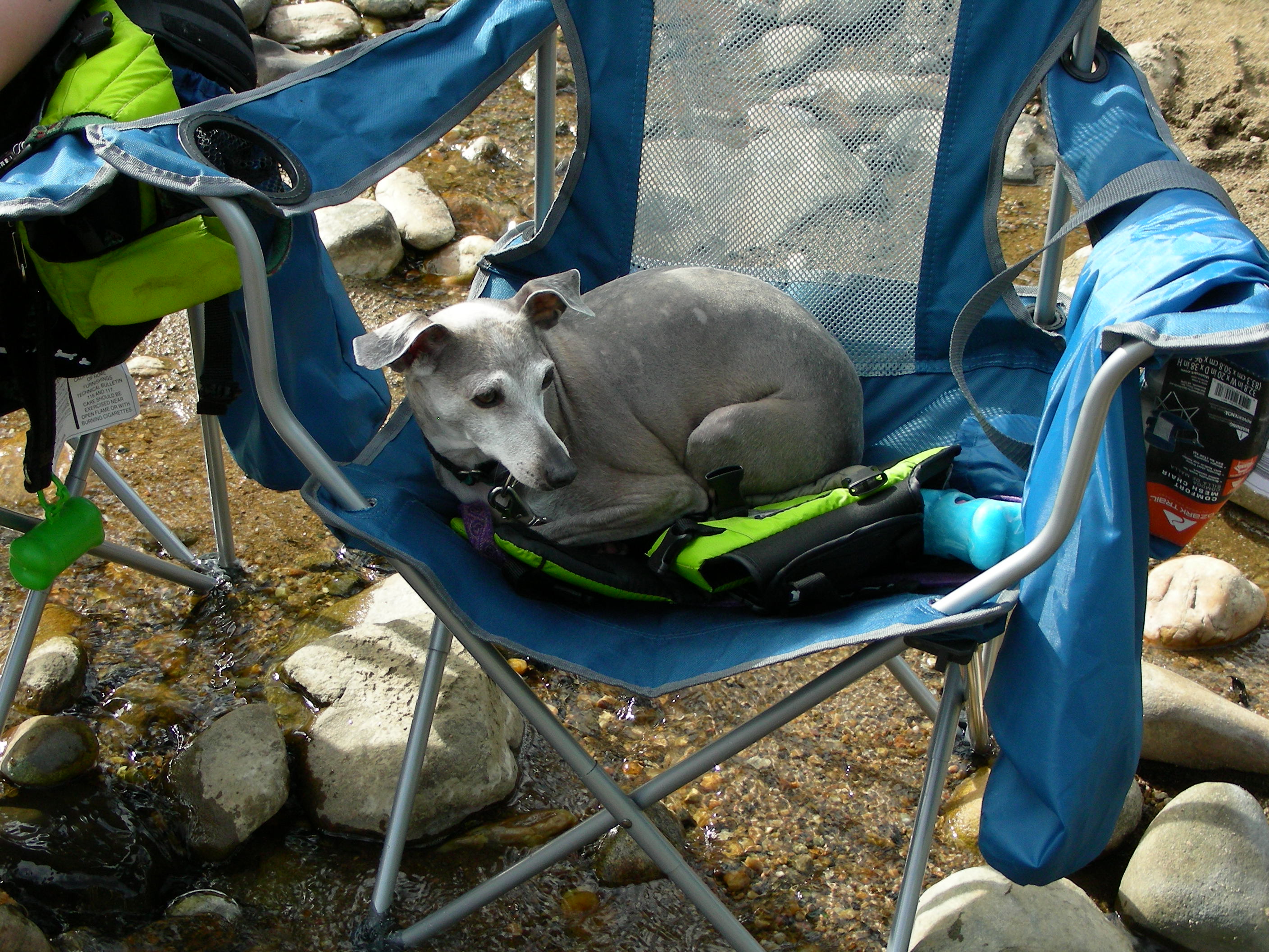 ./2014/Hot Springs/DSCN9341.JPG